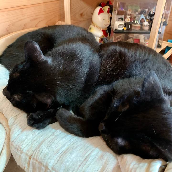 C0fbcb2e 9cf7 4648 b5e1 9f7785c7fe6c 1668226876383