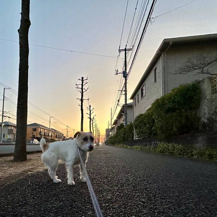 C0fbcce4 ae8f 4b51 904d 444573865bd4 1736947462389