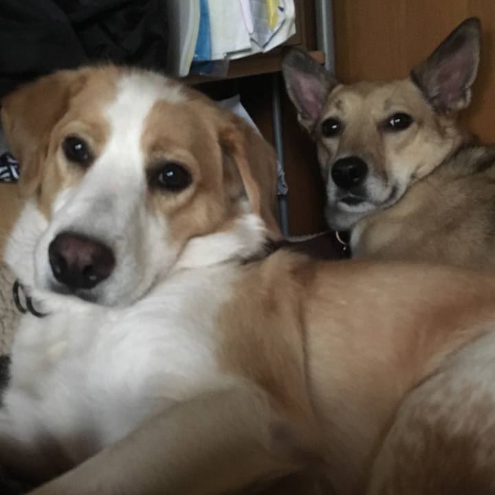 C0fbcd79 e86c 4e41 a8ff d4ce75df1cda 1508722163987