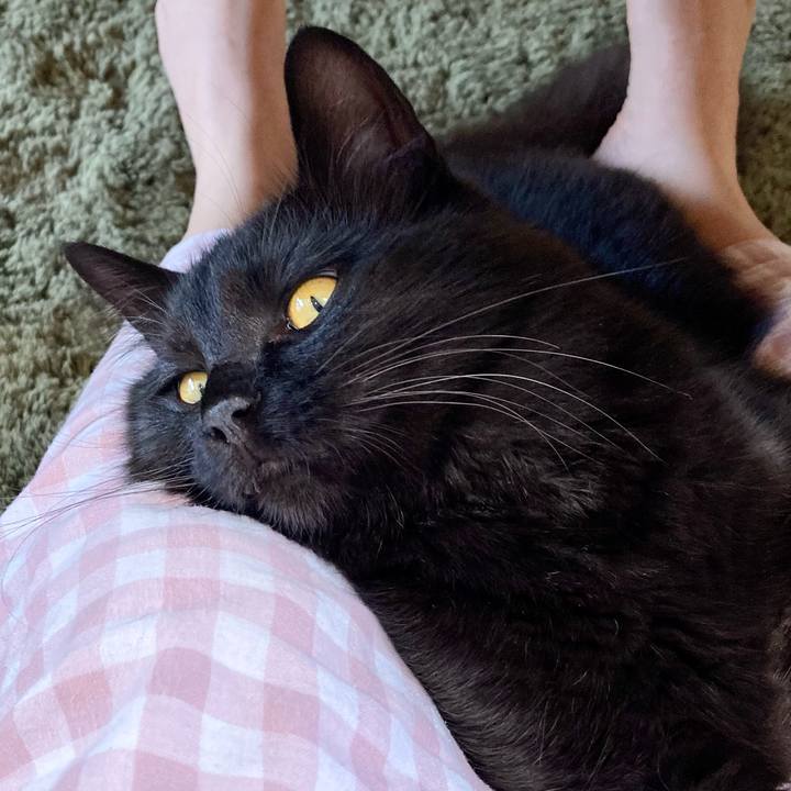 C0fc105f 4a46 4cec b7cf b5b11a7cf3e3 1717211106336