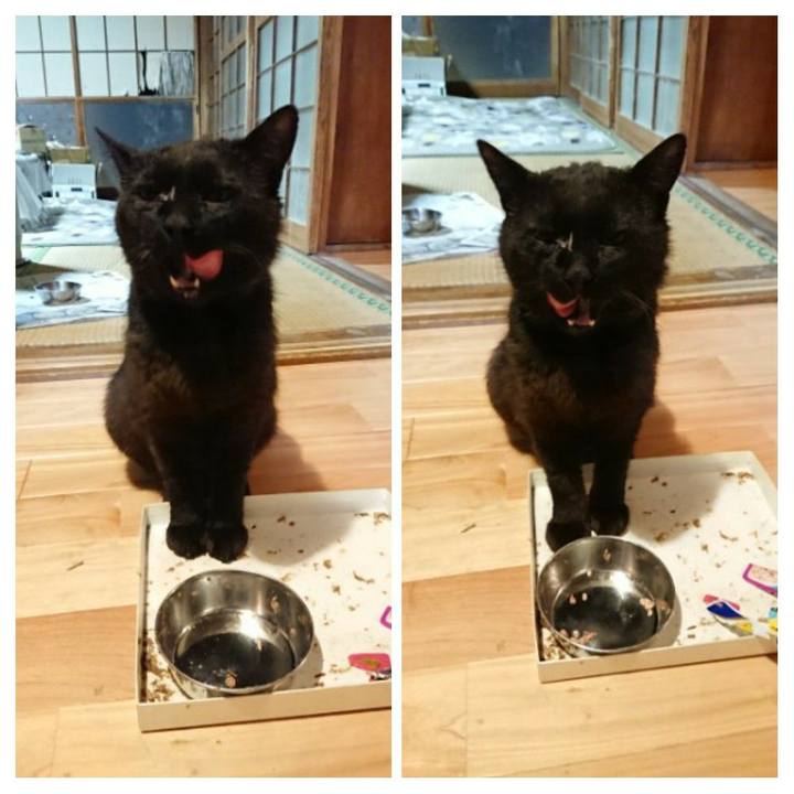 C0fc753b 44c1 48c7 9220 c43bffbb276e 1623842417632