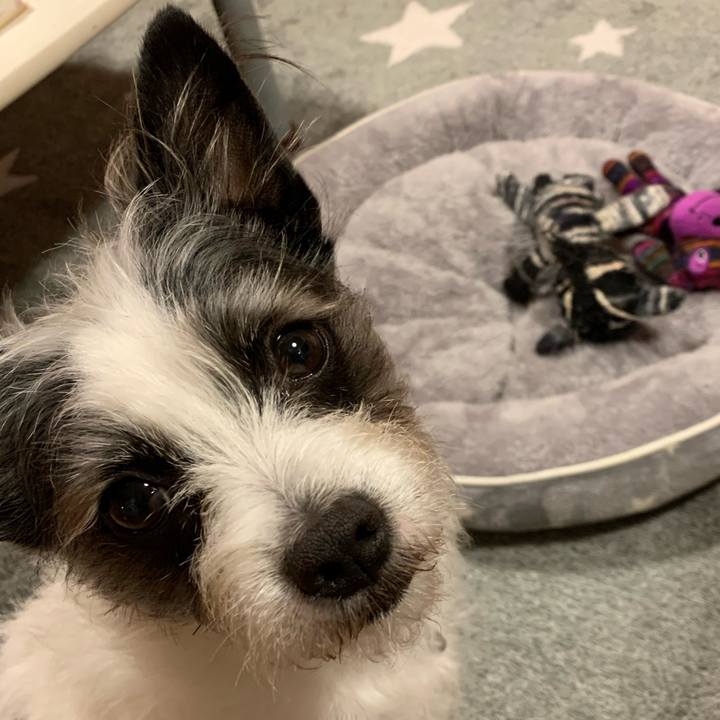 C0fc9ea8 9efd 49ed bf83 a510f6c0b03f 1584445490882