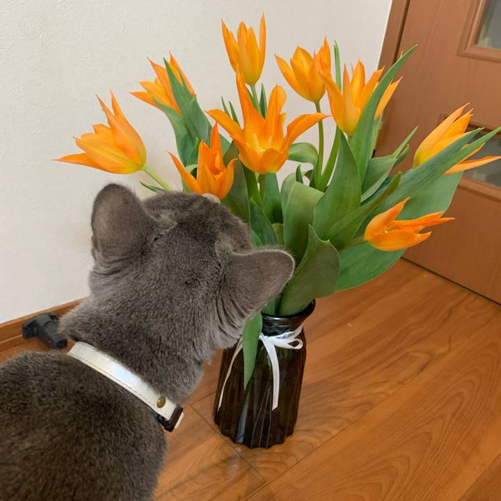 C0fcbc0b ab56 4549 9ce4 f35e1cecb5c7 1677905673941