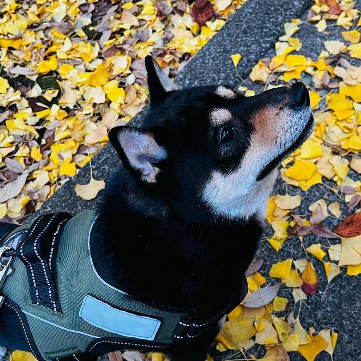 C0fcc06e 5e0a 4e07 ae8b 2dc98696af4b 1702540528557