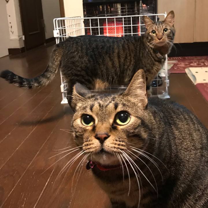 C0fd0f07 465d 4e4f 9439 75f4b4791a51 1579210387618