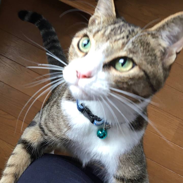 C0fd1943 6200 4c50 93ca 7bbe3dead36d 1692575183059