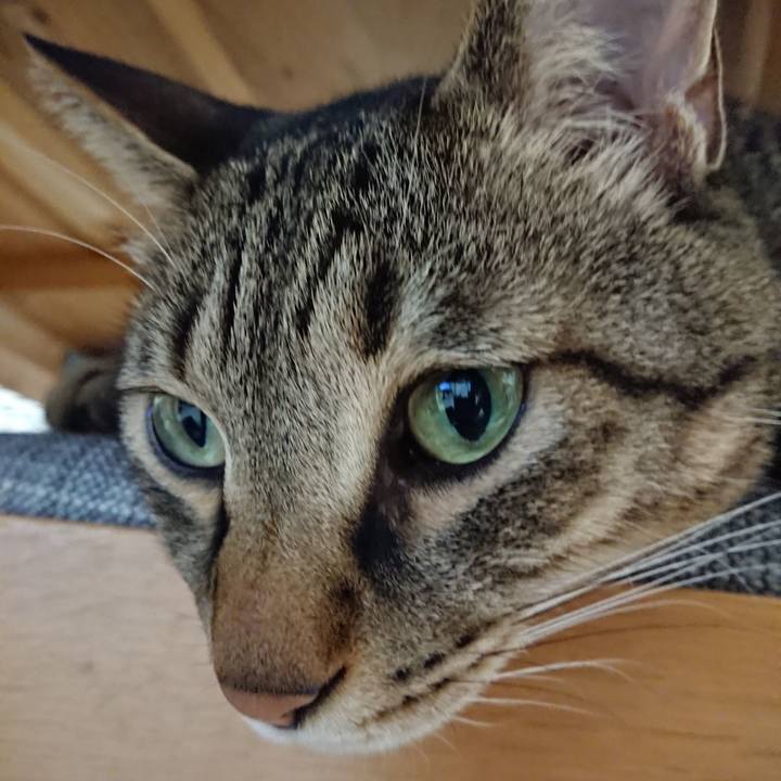 C0fd2728 df01 4dab 8050 ff0bdf55354f 1570854376717