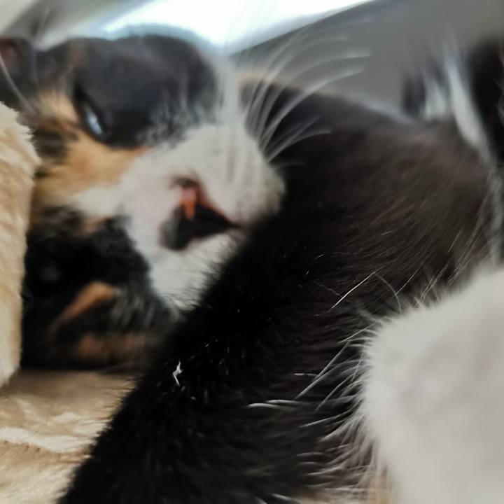 C0fd2ee0 bf7b 4485 9e88 81e36a43df0f 1657598240867