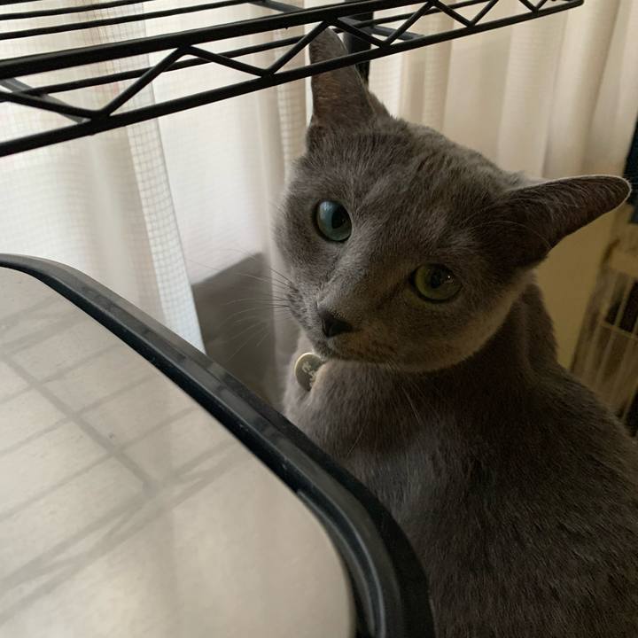 C0fd75b1 0d50 4770 8ed1 d91bbb60595e 1648164727660