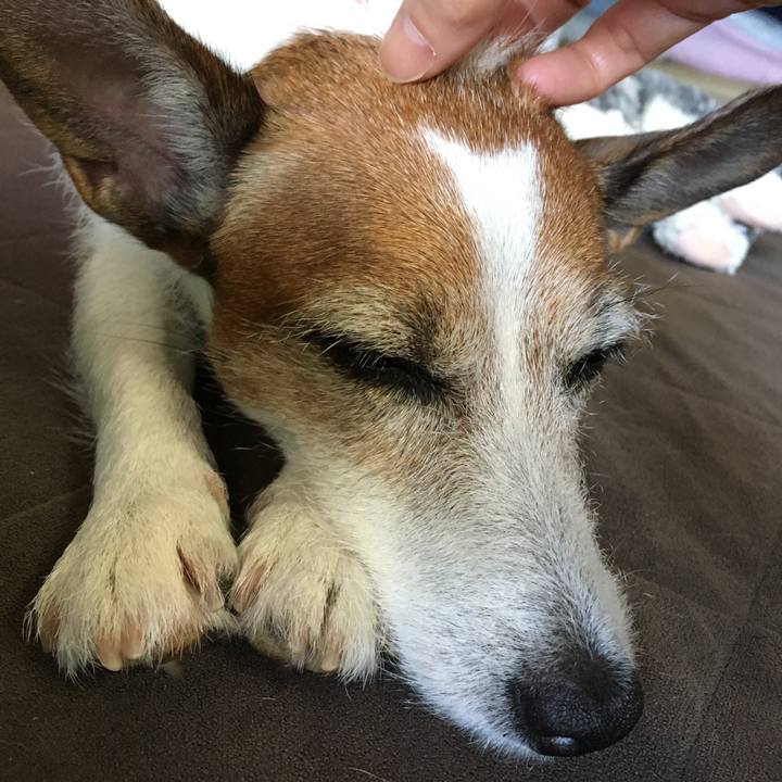 C0fdb17d 7bdb 4a63 afed eb93e9e247d4 1628724763002