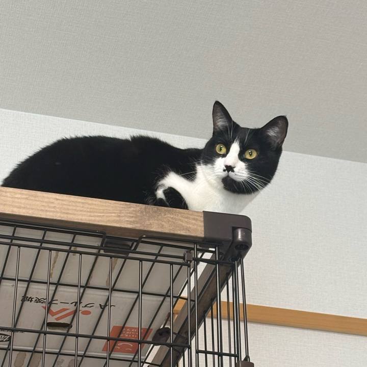 C0fdb623 562f 4958 be68 4644bc5f131d 1763687827846