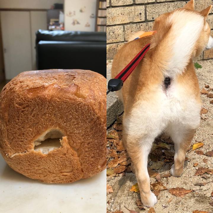 C0fde901 126f 47c4 8ce3 3678d3fb87cf 1587443111256