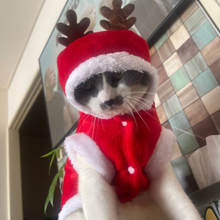 C0fdf8f3 6a76 4b29 8ec3 3d41c1682143 1735090400957