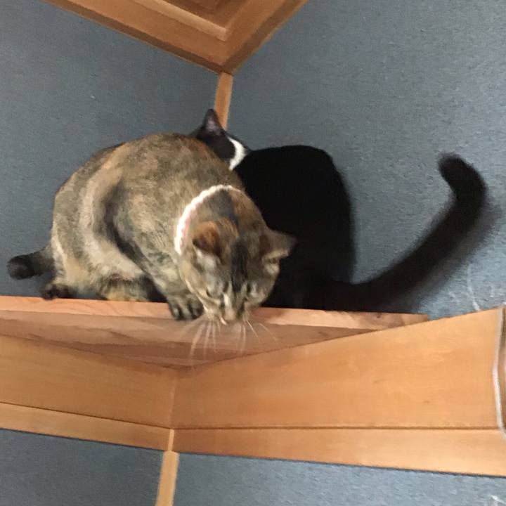 C0fe0796 67b4 4aae ae47 a7c41c05cc66 1719035935577