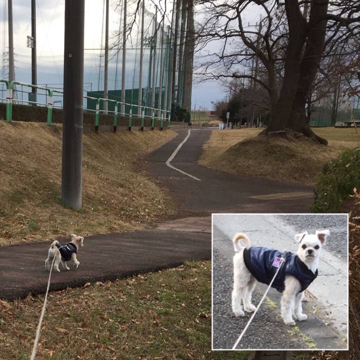 C0fe0c70 dbe1 449e 936f 1044855b8efe 1546752207196