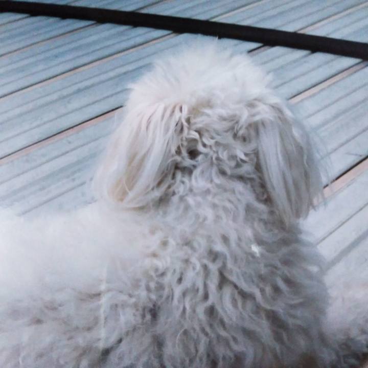 C0fe48d6 68b3 4530 9dd1 ae926f611eaa 1595815388657