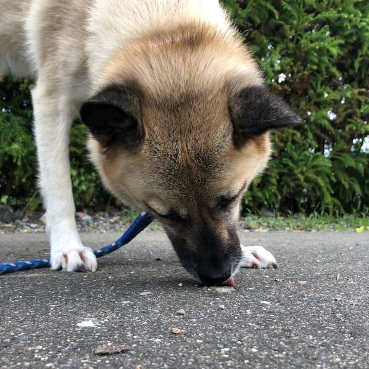 C0fe83ee 4185 4a4b 94c9 4126ea3c3efb 1602500307722