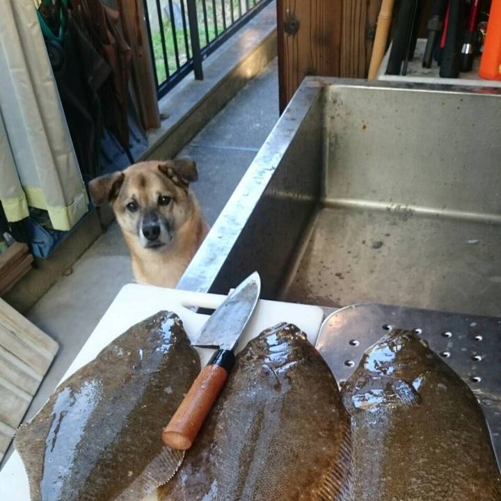 C0feaa43 1388 48eb 938d 1046869b6406 1507708257471