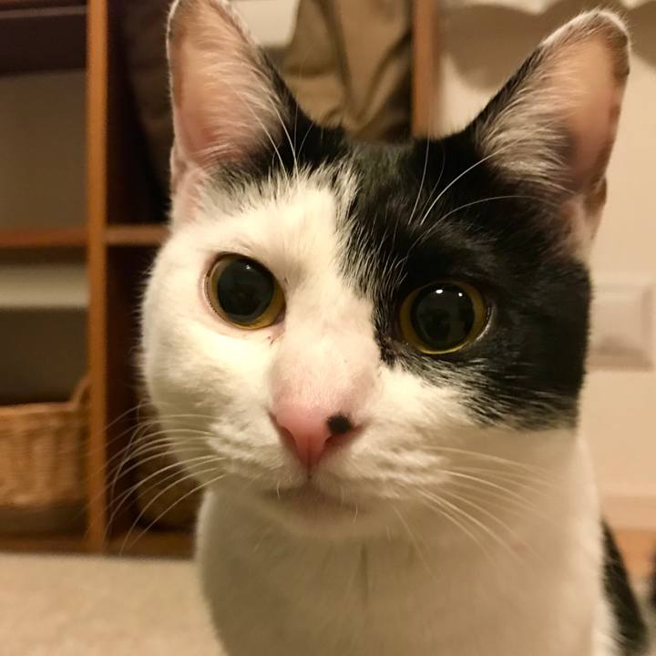 C0ff130d b072 4b29 9965 4cd14b81b8c3 1517487368067