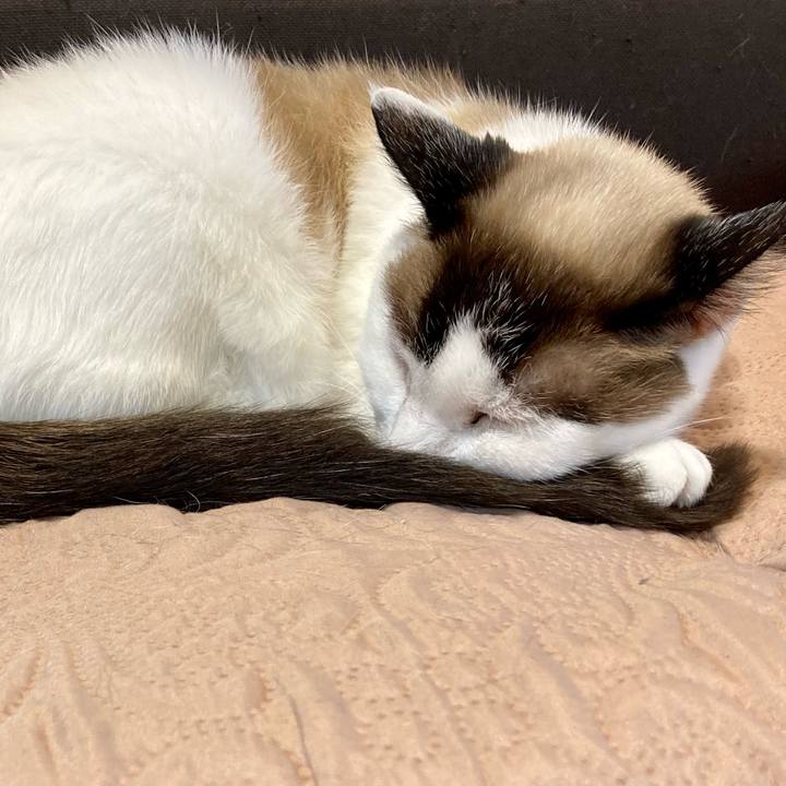 C0ff50e5 022f 4982 94bd cf5b337f5c2f 1651279237999