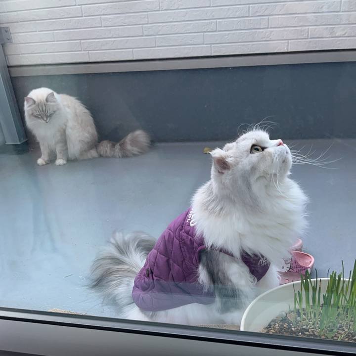 C0ff7371 40ef 425c 85ac d648864dfb3e 1702434295053