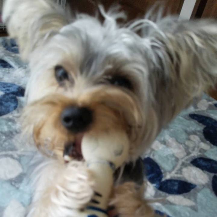 C0ffaace e39e 4b30 986a 1f1790fca89a 1542982798017