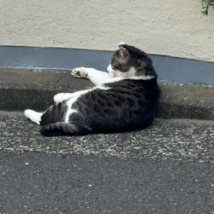 C0ffb709 ec11 42cc a769 85a83cbc813a 1748038932312