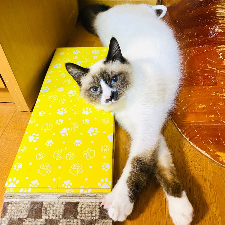 C0ffcec9 0df8 4865 9111 72e049aba045 1683324368499