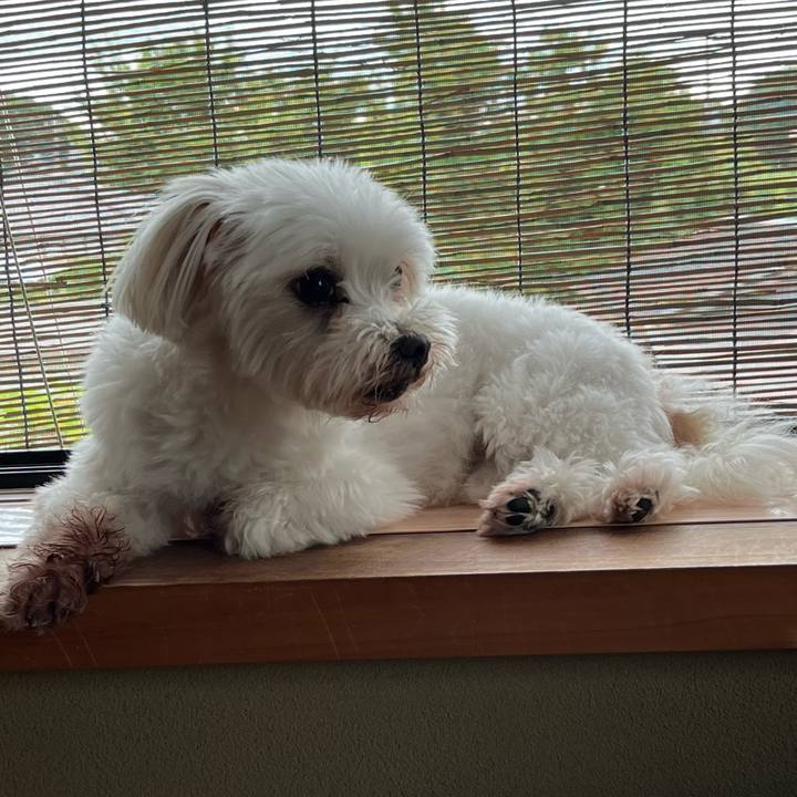 C0ffd187 89a3 4990 8b11 a0ff6412b938 1657780720697