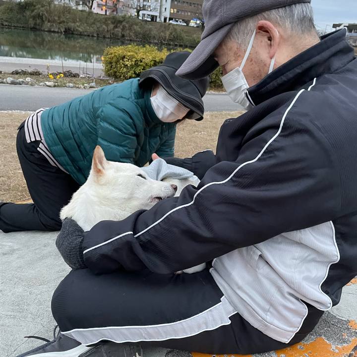 C0ffd447 e0c9 4531 91c6 681c98587132 1673951266692