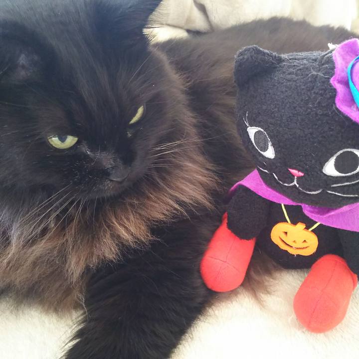 C0ffe2ed 2f3a 415e aa30 406c39e29322 1572478871117