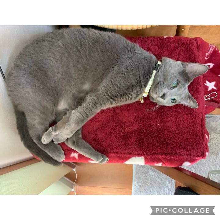 C0fff6cd 9d5b 4541 bd64 fd80e3243759 1670407167007