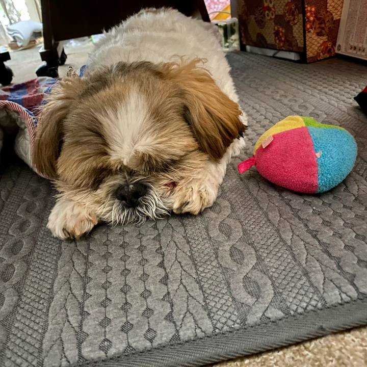 C1002886 c88d 41ee ab20 894cf7b9741a 1629251814657