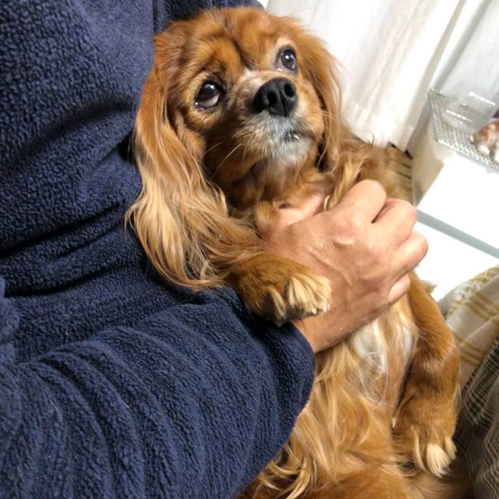 C1005cf8 4f72 47e6 a507 c53f2121738a 1640556173759