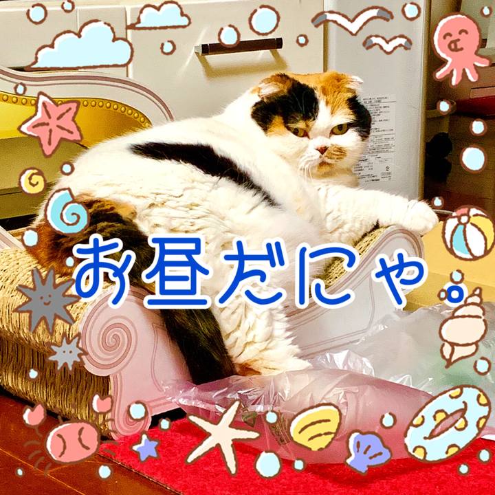 C1008841 24c7 45eb 96cc 8cdab2c8bdf4 1564631508790