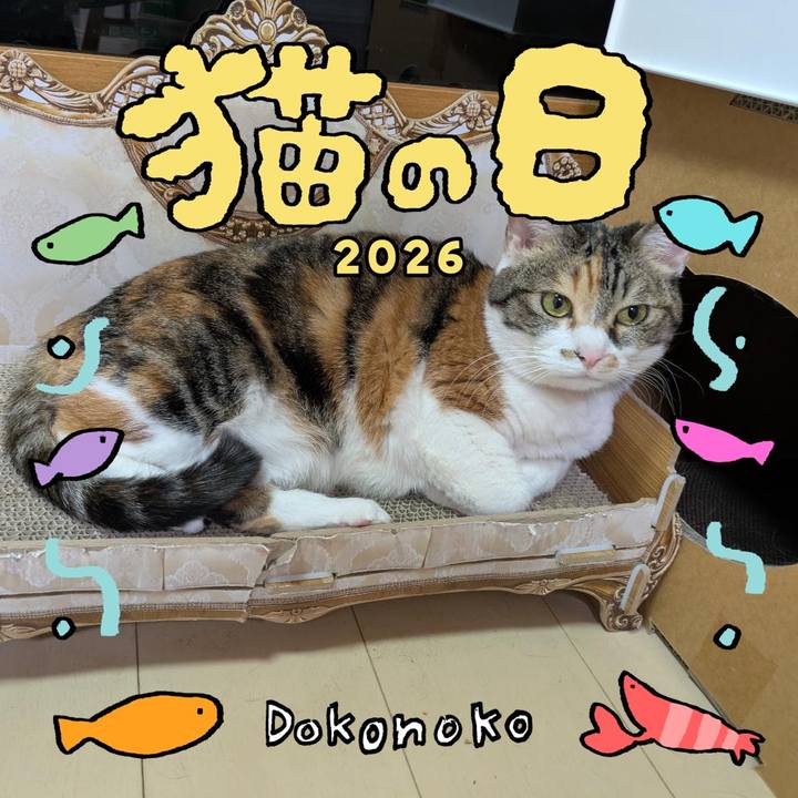 C100a026 4099 479c 834f 8dcc38791256 1771787695418