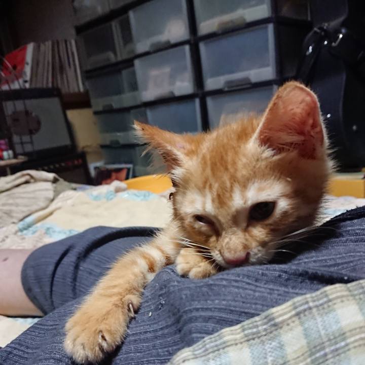 C1010c55 c08a 40eb 9186 15b1482627a4 1628253656067