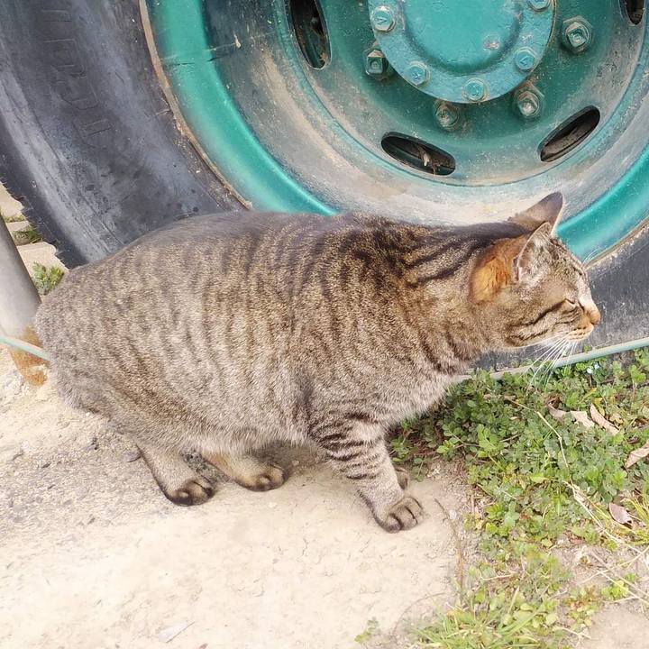 C1012d36 2b50 4df9 97ee eb3da76d1405 1646390424426