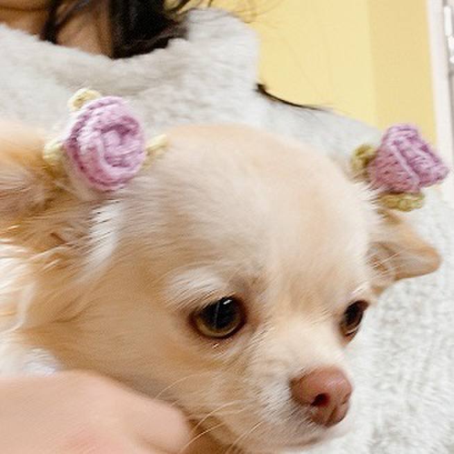 C1013adc 43b0 4b32 968f f40390e8b442 1610750890344