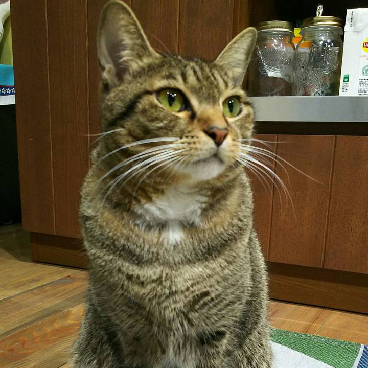 C1015c14 5489 4937 9041 8ad0a5910e49 1510057106758