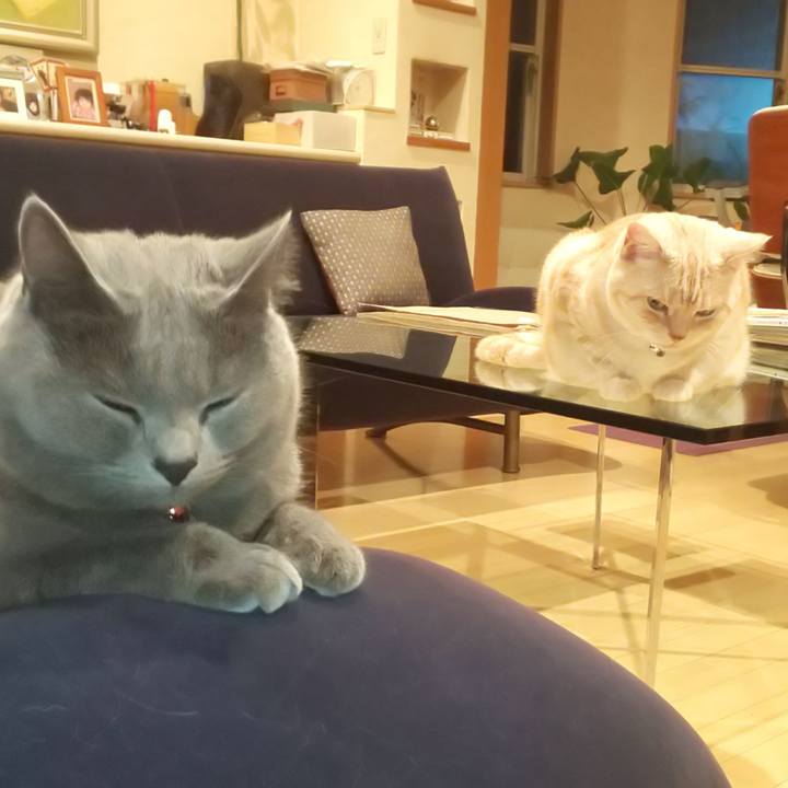 C1017647 7248 4bbf b5f6 6fe845ba712b 1540459086213