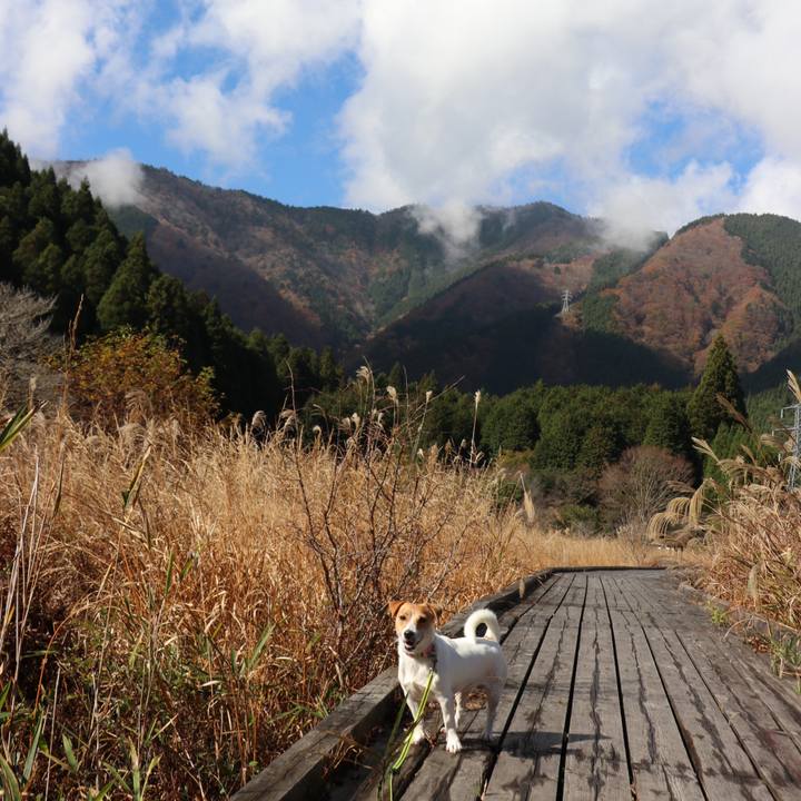 C1018c69 1bc2 4870 937b f67f3b9e5e08 1541837025421