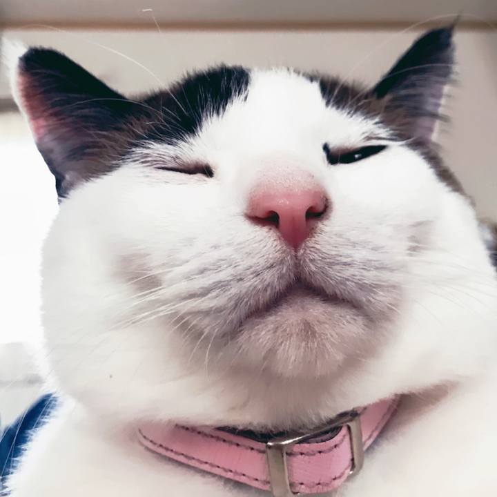 C1019c41 b9a2 48f2 928a d17b1e6b9665 1525176052283