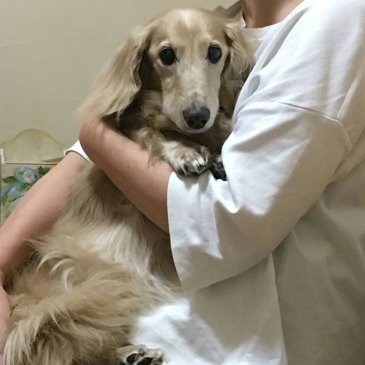 C101b1b7 30ba 4e91 a731 ee4d080b16e6 1563458824863