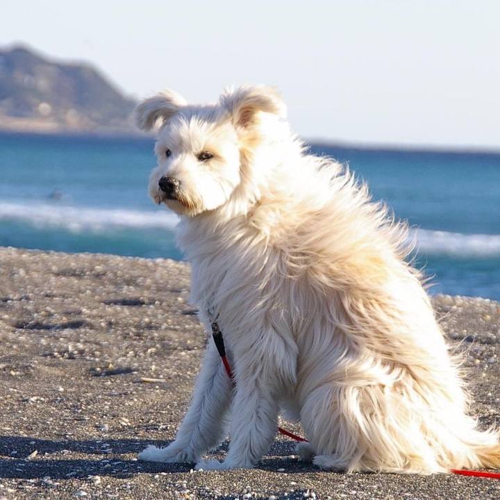 C101dfff 00be 43d5 ac89 d023f631afe2 1650409854576