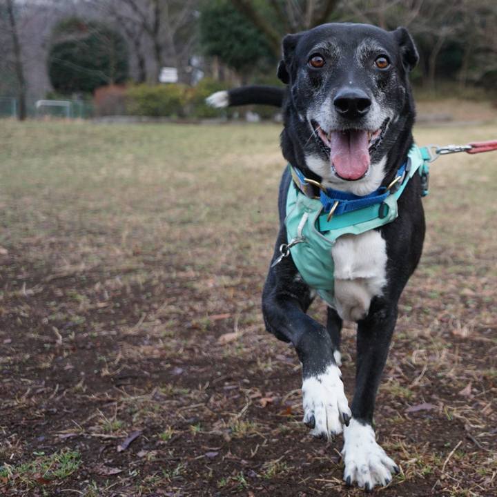 C102306b 1c78 4045 9aed 78439c835a03 1772238181917