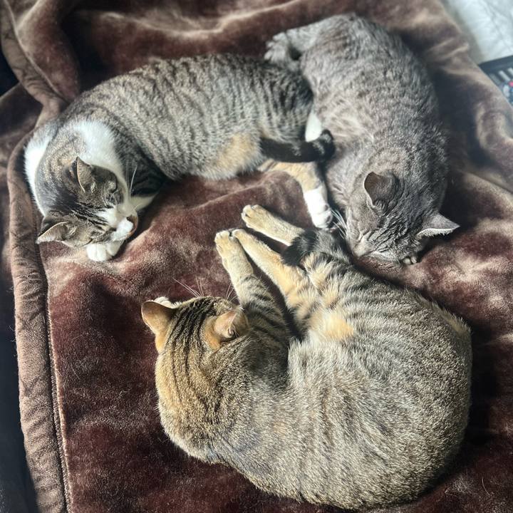 C1028306 e4d1 4d11 a874 7d682829dca0 1761742301785