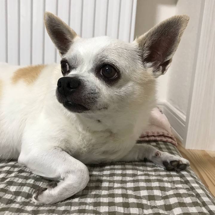 C102f42a 99af 41b7 abb7 9d7a39be4232 1633661459925