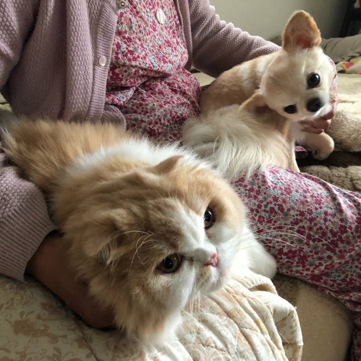 C1030f27 5692 4758 9903 1b23040fc2c9 1630835260159