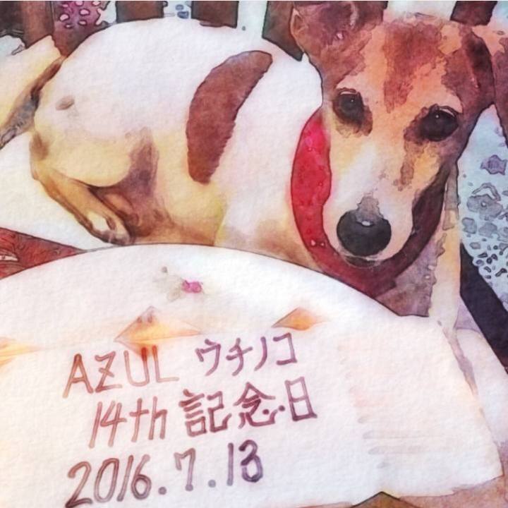 C1036ff2 637b 4786 b21f 1f0c5252b23c 1531438661498